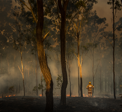 Australian Bushfire