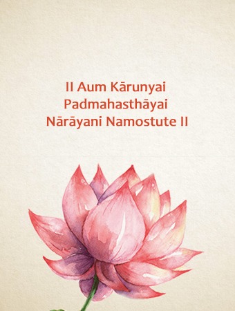 {{Section 10_IMAGEALT_Program 5_370x490}}